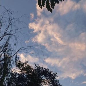 玖辛奈强❌乳喷自慰爽
